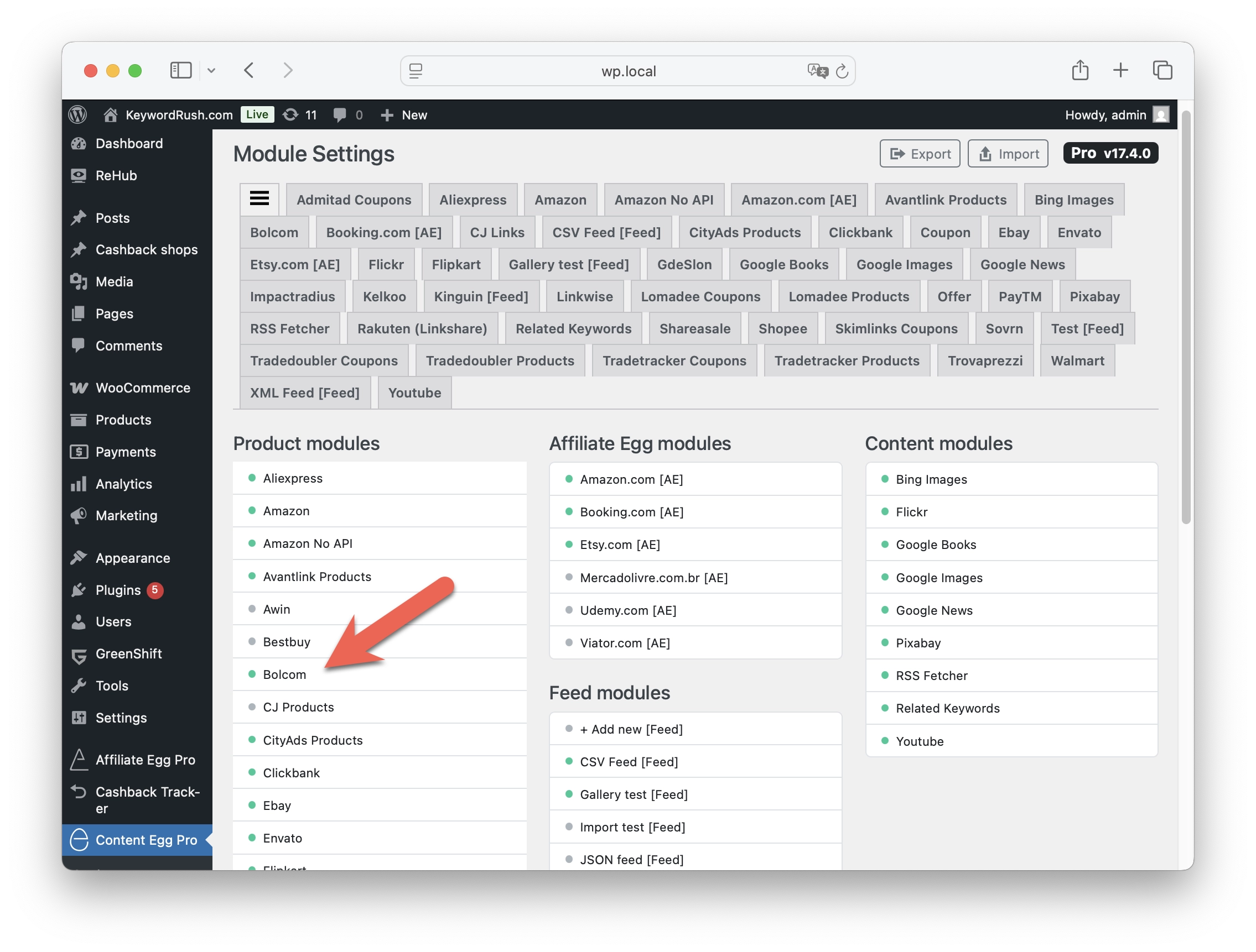 Content Egg plugin modules screen with Bol.com module activated for WordPress affiliate site setup