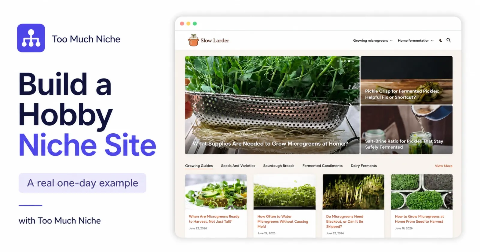Build a niche website from your hobby — Too Much Niche tutorial